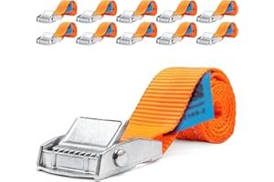 INDUSTRIE PLANET 10 Piezas de Correa tensora 250 kg 0,5 m de Ancho de Correa 25 mm de una Pieza