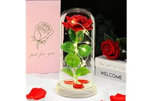 DEEMEI Christmas Rose Gifts for Women Eternal Rose Flowers Birthday Gifts for Women Mum Wife Girlfriend, Galaxy Crystal Rose Flower Gifts Light Up Rose in a Glass Dome for Christmas Anniversary, Red