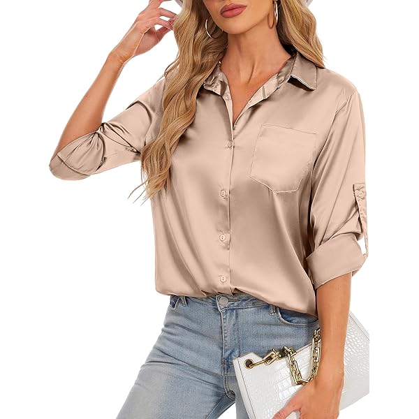 Zeagoo Damen Satin Bluse - V-Ausschnitt Langarm | Elegant & Business