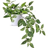 Set 3 Piante Artificiali In Vaso - Decorazione Casa Interno/Esterno, Stile Rustico - Foto 9