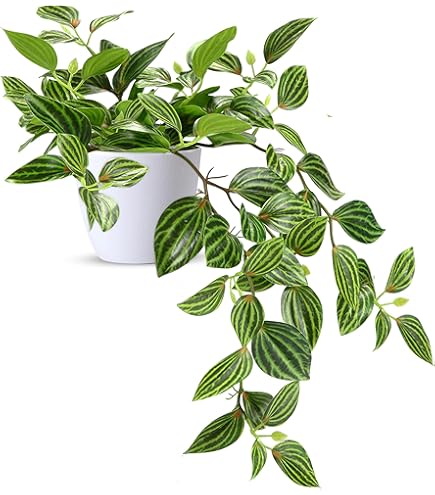 Felce Artificiale Di Boston In Vaso - Pianta Finta Per Interni Ed Esterni, Altezza 30 Cm, Larghezza 60 Cm - Foto 6