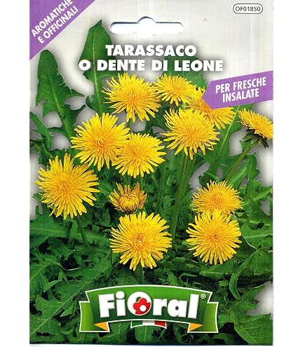 Kräutersamen Für Den Garten – Aromatische & Heilende Pflanzen Im Praktischen Tütchen-Set