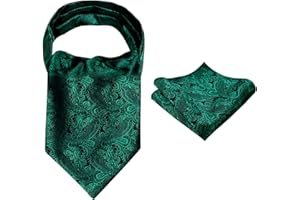 Alizeal Uomo Moderno Paisley Cravat Uomo e Set Piazza Tascabile