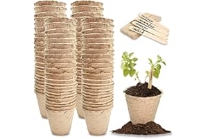 Green Thumbz Pots de Fibres Rondes biodégradables pour semis, Grands Pots en Fibre, Pots pour Fleurs, Plantes et graines d'intérieur ou d'extérieur avec des bâtonnets en Bois - (Lot de 100)