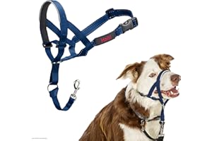 Collar Ronzal HALTI - para Evitar Que tu Perro Tire de la Correa, Ajustable con Banda de Nariz Acolchada. Adiestramiento canino antitirones Collar para Perros medianos (Talla 2, Azul Cobalto)