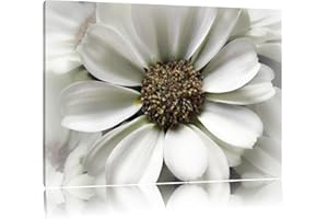 PIXXPRINT peu délicate fleur blanche Toile, XXL photos complètement encadrée avec de grandes images de coin, art impression sur la photo murale avec cadre, moins cher que la peinture ou une peinture à l'huile, pas une affiche ou bannière