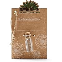 Die Stadtgärtner – kleiner Wunscherfüller I Echtes Pusteblumen-Schirmchen im Glas I Ewig haltbar I Perfekte Geschenkidee…