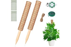 QHKLEW 2 Pièces Tuteur Monstera, 40cm Support Tuteurs pour Plantes Grimpantes, Tuteur Plante Grimpante, Bâton De Coco pour La Maison Jardin Plante Grimpantes Extension De Support De Plante
