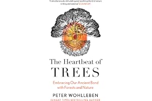 The Heartbeat of Trees: Embracing Our Ancient Bond With Forests and Nature