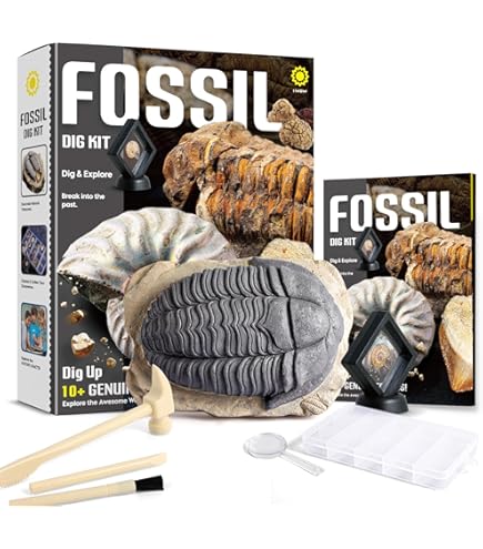 Extraordinario Fósil Chino De 250 Millones De Años De Antigüedad Revela