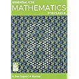 Essential Icse Mathematics For Class 8 - by Asit Das Kumar, Alok Gupta (2024-25 Examination)