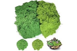 200g di Muschio Stabilizzato Artificiale, Muschio Finto Verde Scuro e Chiaro, Lichene Sintetico Simulazione per Decorazioni, Modellismo, Terrari e Pareti, Ideale per Acquari e Decorazioni per la Casa
