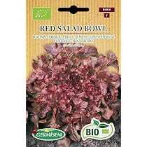 Graines Laitue Feuille De Chêne Rouge Bio - Red Salad Bowl - Laitue à Couper Productive