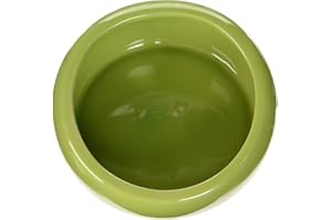 Living World - Piatto ergonomico, grande, colore: Verde