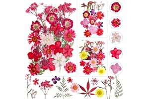 DOG'S BOOTY Rosso Fiori Secchi Pressati Fiori Secchi per Resina Fiori Secchi per Candele Fiori Secchi Fiori Secchi Decorativi Fiori Essiccati per Candele DIY,Gioielli in Resina,Scrapbooking❀