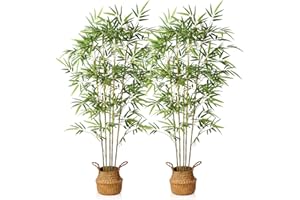 ‎KAZEILA Kazeila Künstliche Pflanzen Groß 160cm Bambus Kunstpflanzen im Topf Kunstbaum Zimmerpflanze für Home Garten Büro Deco(2 Pack)