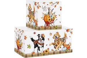 Clastyle Set di 3 Scatole Portaoggetti Autunno Ringraziamento Cubo di Stoccaggio per Armadio Vestiti Cesto Scaffali Bambini Scrigno dei Giocattoli e Libri per Scuola Materna,Animale,30x30x30 cm