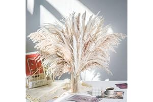 IS TYCONS Pampasgras Getrocknet Natürliche Trockenblumen Deko DIY Trockene Blüten Strauß,Pampasgras-Bouquet Schilfblume Deko Ideal for Boho Wohnzimmer-Schlafzimmer-und Vasen (Style 6)