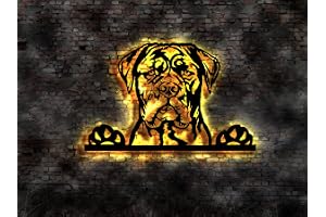 Cane Corso LED väggmålning trä valp bok hund hund uppfödare porslin matskål koppel godis halsband