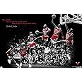 Trends International Michael Jordan - Fly Wall Poster, 22.375" x 34", Unframed Version