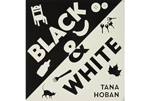 Black & White Board Book: A High Contrast Book For Newborns