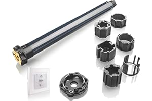 Somfy 1240389 Motor Radio RTS de remplazo para persiana de 20nm, Motor para persianas, Octagonal de 60mm, Incluye Mando a Distancia