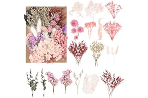 RMIVEGLIA Fleurs séchées Naturelles et pétales séchés – Fleurs séchées colorées pour Loisirs créatifs, idéales pour résine, Bougies, Bijoux & décoration avec Fleur séchée, INCL. Petites Formes variées.
