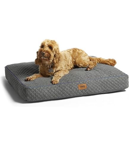Cuddle Bed Akc Orthopedic Dog Bed Cuddle Cave Dog Bed Shop