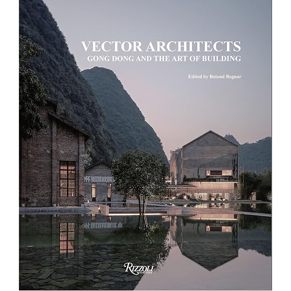 Vector architects. Ediz. italiana e inglese : Padoa Schioppa 