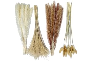 WKFSBLS Hierba de la Pampa Natural Seca 80 Piezas de 42,5 cm 15Pz Blanco 15Pz Marrón 30Pz Hierba de Caña 20Pz Hierba de Cola de Conejo,Ramo de Flores Secas para Decoracion del Hogar Decoracion Boho