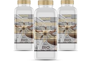 GiDeli Bioetanol 3 x 1 l de aroma a vainilla 96,6% etanol para chimeneas interiores y exteriores, sin humo ni hollín, de maíz y remolacha azucarera