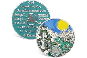 ACGZQY SOBRIETY COIN - 5 años Forest River Tree Sobriety Chip Sun Recovery Na AA Chips and Medallions Anniversary Anniversary Alcohólicos Anónimos de Sobrio Regalos