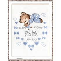 Riolis - 1003 - Jardin fleurie - Kit point croix compté