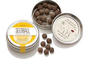 SEEDBALL Bee Mix Seed Bombs (Wild Flower Tin) – 20 Seed Balls Per Pack | Bee Friendly British Wildflower Seeds - Poppy, Chamomile, Cornflower, Corn Marigold & Night–Flowering Catchfly
