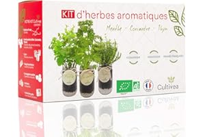 Cultivea® Kit Prêt à Pousser d’Herbes Aromatiques – Graines 100% Bio – Made in France - Jardin Potager d’intérieur - Plante (Menthe, Coriandre, Thym) - Idée Cadeau