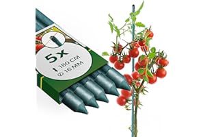 KADAX Lot de 5 Tuteurs en Acier avec revêtement - 180 cm x 16 mm - Tuteur pour Plantes - Résistant aux intempéries - Tuteur à tomates avec Crochet