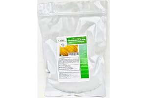MGI DEVELOPPEMENT 300 gr - Chélate de Fer 13% EDTA – Anti-Chlorose – Fertilisant Reverdissant – 100% Soluble – Utilisable en Agriculture Biologique – Conditionné en France dans une PME