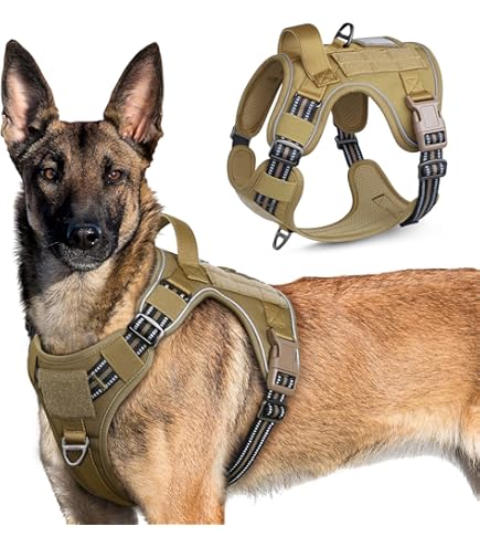 Mochila Para Perro Grande Kurgo Arnés Cascade, Mochila De