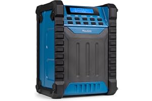 Audizio Jobsite - Baustellenradio DAB Plus Radio mit Bluetooth 5.0, Akku 8h, 100 Watt Leistung, IP54 Wasserdicht, FM, Tragegriff, DAB+, Werkstattradio mit AUX & USB, Outdoor Radio