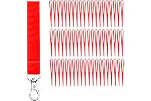 VERY IMPORTANT RUNNER - Pack Lanyards Colores Gancho Metálico - Lote Lanyard Colores Polyester 2cm Ancho y 46cm Largo para Cuello - Llaves - Tarjetas Identificativas - Pendrive