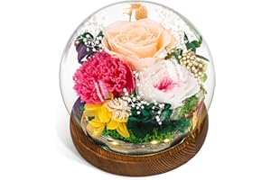 CSYY Rosa Eterna, Regalo para el día de la Madre Luces LED Flor Preservada Bola de Cristal Vidrio Claveles Preservados Infinito Flor Eternos Mujeres Mamá Novia Esposa Día de Cumpleaños Rosa
