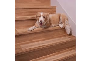 Spurtar Antiscivolo per Tappeti Scale,Transparant Moquette Adesiva Strisce Antiscivolo per Scale, per gradini in Legno di tappeti Antiscivolo per Pavimento Protezione Decorativa,15 x 60 cm, 15 Pezzi