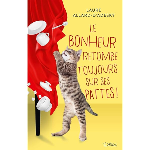 Le Bonheur Retombe Toujours Sur Ses Pattes Ebook Allard D Adesky Laure Amazon Fr