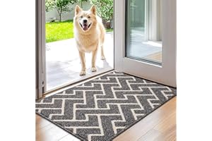 Biscpro Indoor Door Mats,50x80cm Door Mat Non Slip Backing,Dirt Trapper Mat Absorbent Non-Slip Doormat for Entrance,Inside,Kitchen,Front Back Door,Pets and Garden-Grey