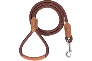 Mile High Life | Laisse pour Chien en Cuir de Qualité Supérieure | Laisse à Corde Robuste | Poignée en Cuir | Fermoir Solide en Alliage de Zinc(Marron Foncé, 1.50 M)