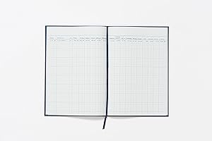 EXACOMPTA Guildhall Cuenta Libro 31 de la serie 16 columnas de efectivo 80 298x203mm Leaf - Ref 31/16