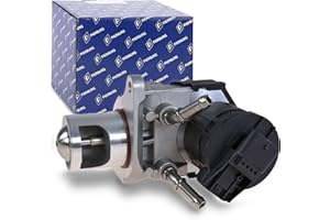 PIERBURG 7.10334.07.0 EGR-Ventil