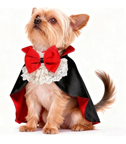 Nonnen-Kostüm Für Hunde & Katzen – Halloween Cosplay, Aus Polyester, Größen M-XL