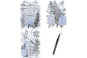 Cayway 46 sztuk biały naturalny prasowany suszone kwiaty suche prasy suszone kwiaty naturalne suszone kwiaty suszone kwiaty na żywicę suche kwiaty do świec DIY biżuteria żywica uczestnictwo