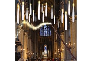 Tiantianle Candele LED sospese con Bacchetta,20 Candele Galleggianti Senza Fiamma con Telecomando per Feste di in Famiglia Decorazioni Natalizie di Halloween Natale Decorazioni Casa